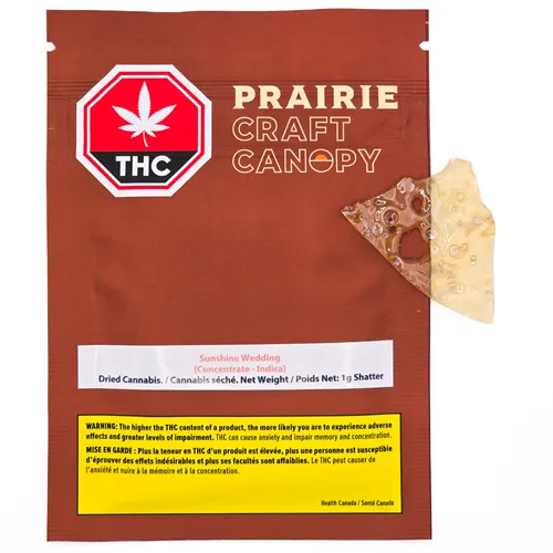 Sunshine Wedding - Prairie Craft Canopy - Shatter