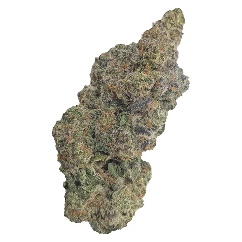 Limited Reserve Indica - Natural History - Dried Flower