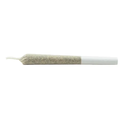 Product image of Nightmare Fuel Js - Daily Special - Joints