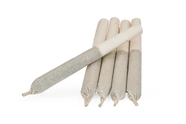 Product image of BC Organic Harlequin - Simply Bare - Joints