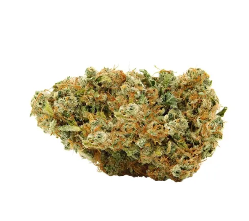 Product image of Sage N Sour - MTL Cannabis - Dried Flower