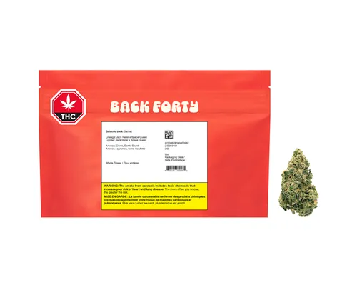 Product image of Galactic Jack - Back Forty - Dried Flower