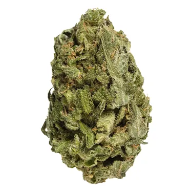 Product image of All Purpose Flower (Sativa) - BAKE SALE - Dried Flower