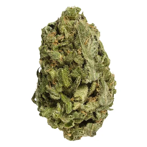 Product image of All Purpose Flower (Sativa) - BAKE SALE - Dried Flower