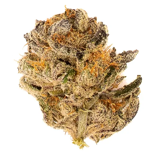 Product image of Black Delta - LaHoja - Dried Flower