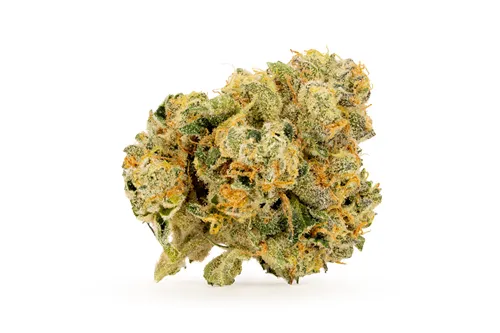 Product image of Bubble Bath Smalls - BC Smalls - Dried Flower
