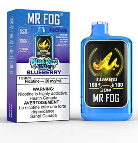 Product image of Blue Razz Steezy Blueberry Classic - MR FOG x NOVA - Disposable