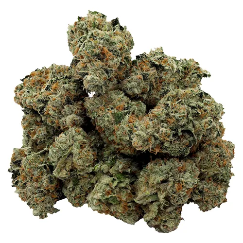 Day Shift - G.O.A.T - Dried Flower