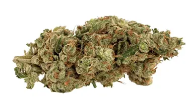 Product image of Rooster Call - Catch Me Outside - Dried Flower