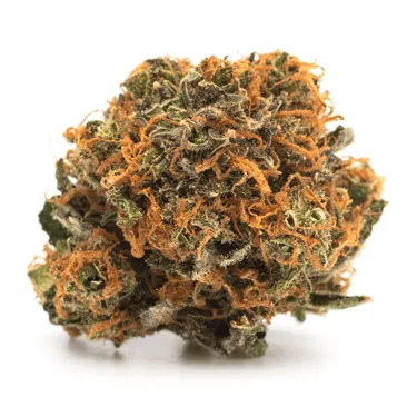 Product image of Balanced - Plain Packaging - Pre-Ground Blend