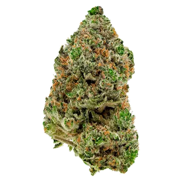 Product image of BC Organic Hibachi Blue - Simply Bare - Dried Flower