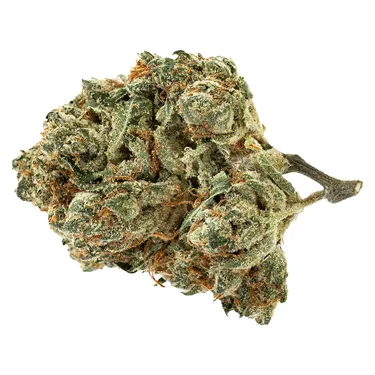 Product image of Alien Pebbles - Pure Sunfarms - Dried Flower