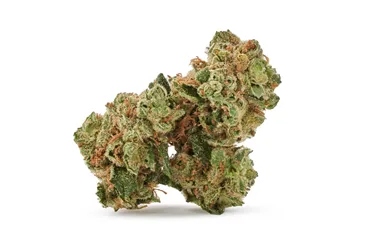 Product image of Zsweet - 5 Points - Dried Flower