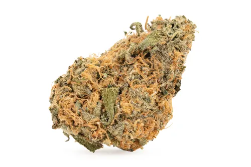 Product image of Blue Soufle - BC 1/4 - Dried Flower
