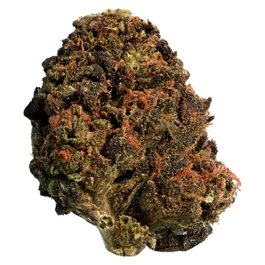 Product image of BC Organic Sun Grown Mango Sapphire Hybrid - Thrifty - Dried Flower