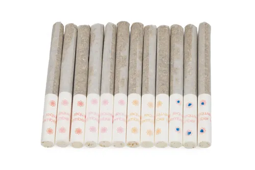 Product image of Blasters - November Rain - Variety Pre-Rolled