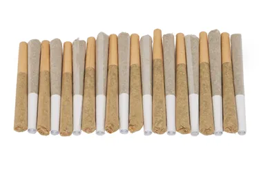 Product image of Block Party Dawn to Dusk - TRYGG - Variety Pre-Rolled