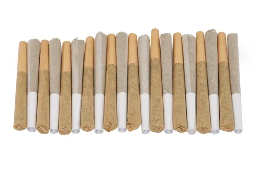 Product image of Block Party Dawn to Dusk - TRYGG - Variety Pre-Rolled