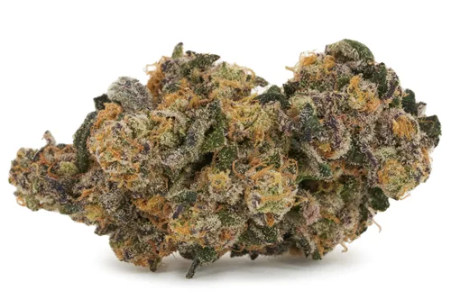 Jealousy - BLK MKT - Dried Flower