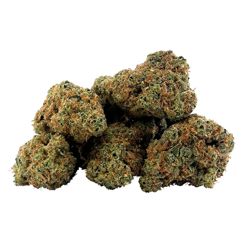 Product image of Gasserole - BC 1/4 - Dried Flower