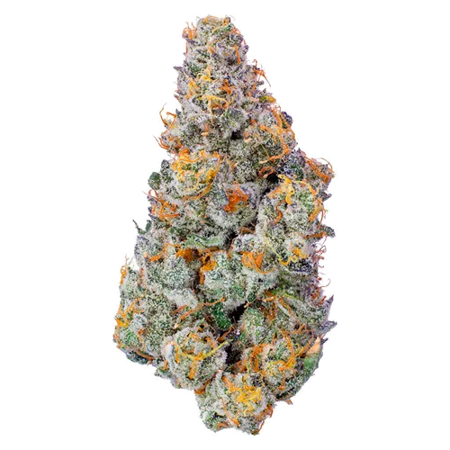 Product image of LA Beatnik - FOUR54 - Dried Flower