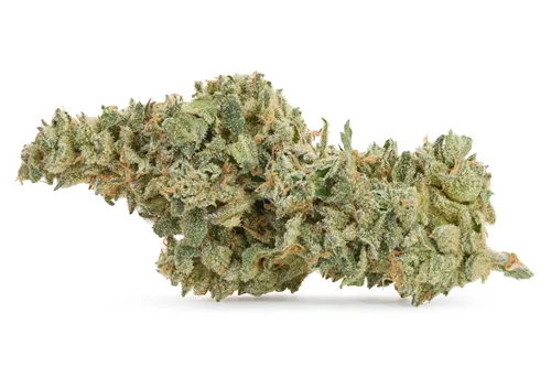 Product image of Blue Gumdrops Premium Smalls OTB - Woody Nelson Country Club - Dried Flower