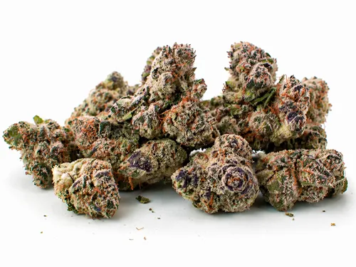 Product image of Loud Litlz - Dom Jackson - Dried Flower