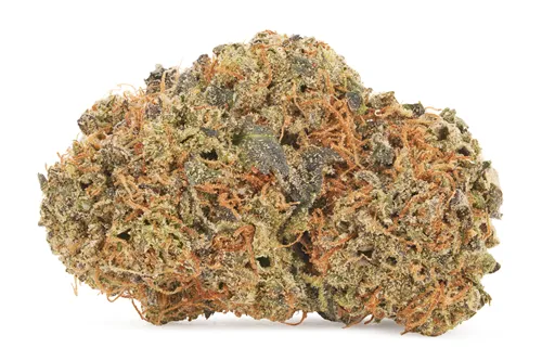Product image of LSO Collection:Blueberry Vendetta - Pistol and Paris - Dried Flower
