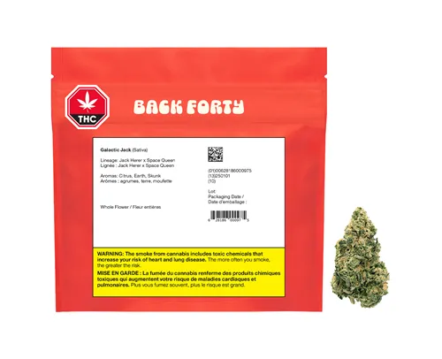 Product image of Galactic Jack - Back Forty - Dried Flower