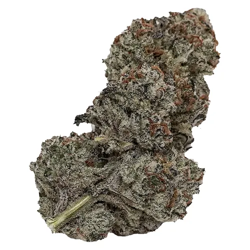Slurri-Jam - Your Dealer - Dried Flower
