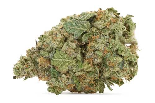 Jungle Kush - Sheeesh! - Dried Flower
