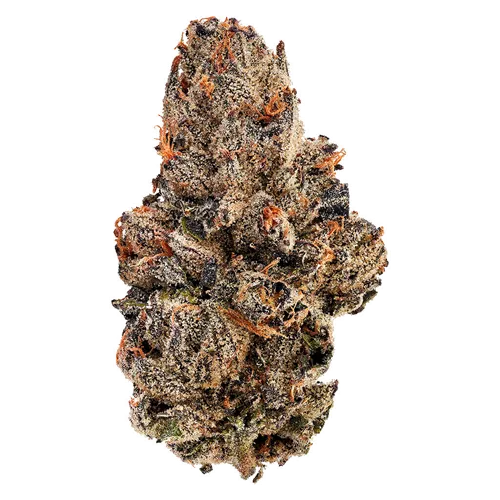 Product image of Detroit Runtz - Bud Lafleur - Dried Flower