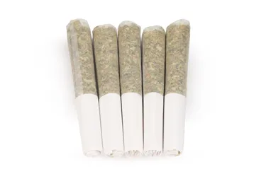 Product image of Gran Turismo - Tribal - Joints