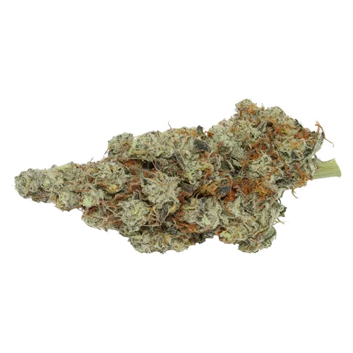 Product image of Northern Tropic - Carmel - Dried Flower