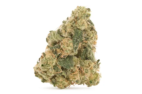 Frostade - Dealr - Dried Flower