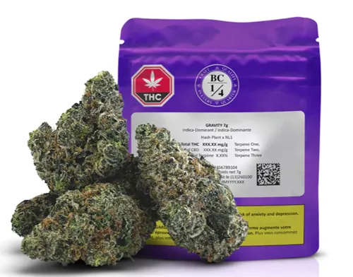 Gravity - BC 1/4 - Dried Flower