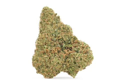 Citrus Rock - Shucanna - Dried Flower