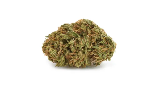Gluerangutan - Good Buds - Dried Flower