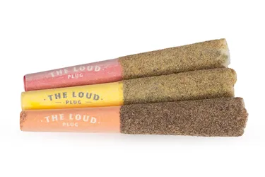 Product image of Drippyz Multi-Pack Infused - The Loud PLug - Variety Infused Pre-Rolled