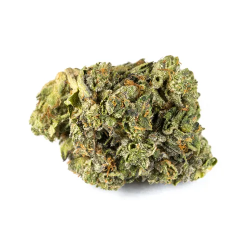 Pink Kush - San Rafael - Dried Flower