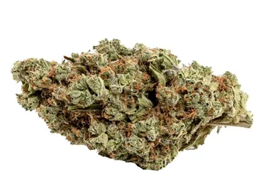Product image of Couch Potato - Catch Me Outside - Dried Flower