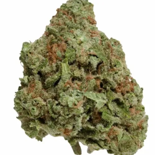 Product image of Blueberry Seagal - Color Cannabis - Dried Flower