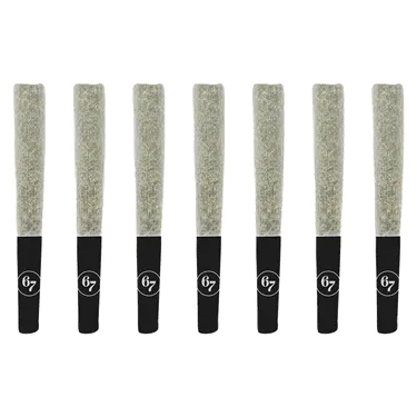 Product image of Gas Face - Sixty Seven Sins - Joints