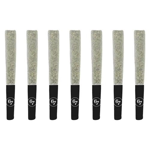Product image of Gas Face - Sixty Seven Sins - Joints