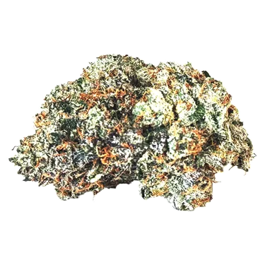 Product image of Gas N' Up - MTL Cannabis - Dried Flower