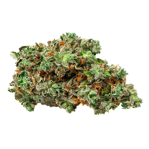 Product image of Root Beer Float - BOLD - Dried Flower