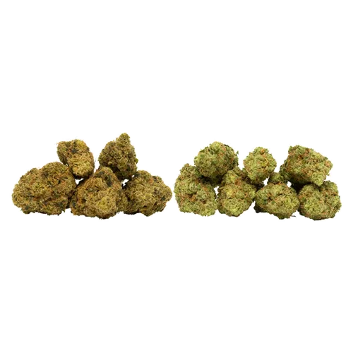 Product image of Flavour Pack - 7Acres - Variety Flower