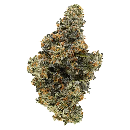 Product image of BC Organic Hollywood MAC - Simply Bare - Dried Flower