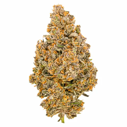 Product image of LSO Balanced - Fuga - Dried Flower