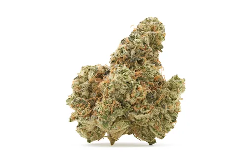 Animal Face Cookies - Carmel - Dried Flower